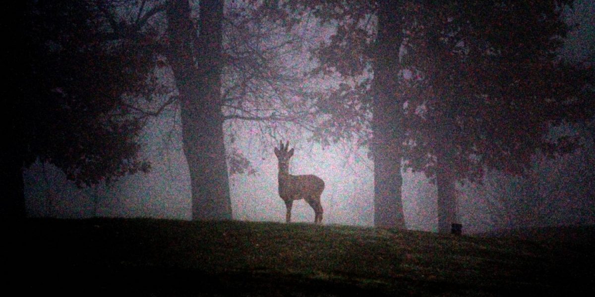 golf St Clair annonay ardèche terrain